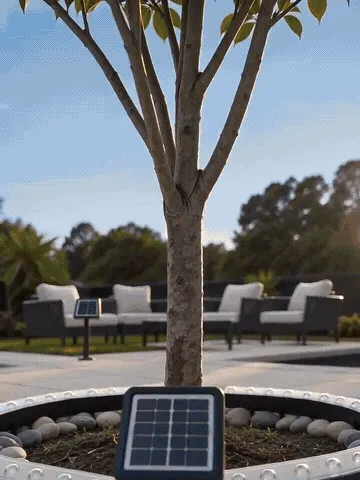 Four curved lights being installed around a tree and glowing at night