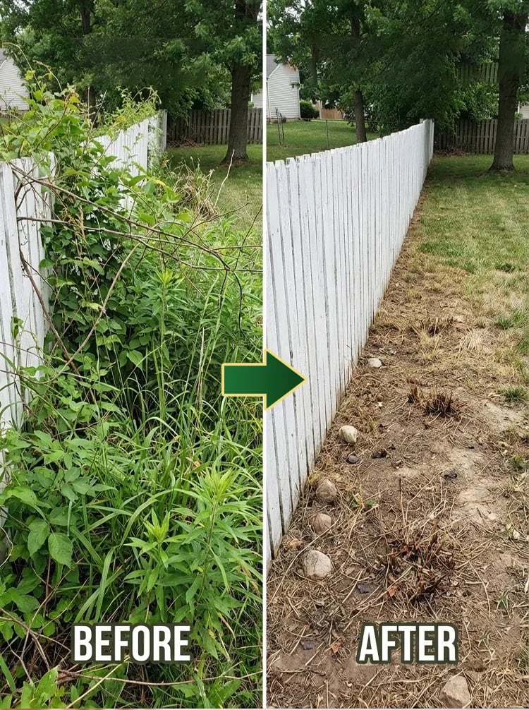 🔥Flash Sale⚡ 50K+ SOLD! Almost Gone-🔥Herbicide and root rot control agent