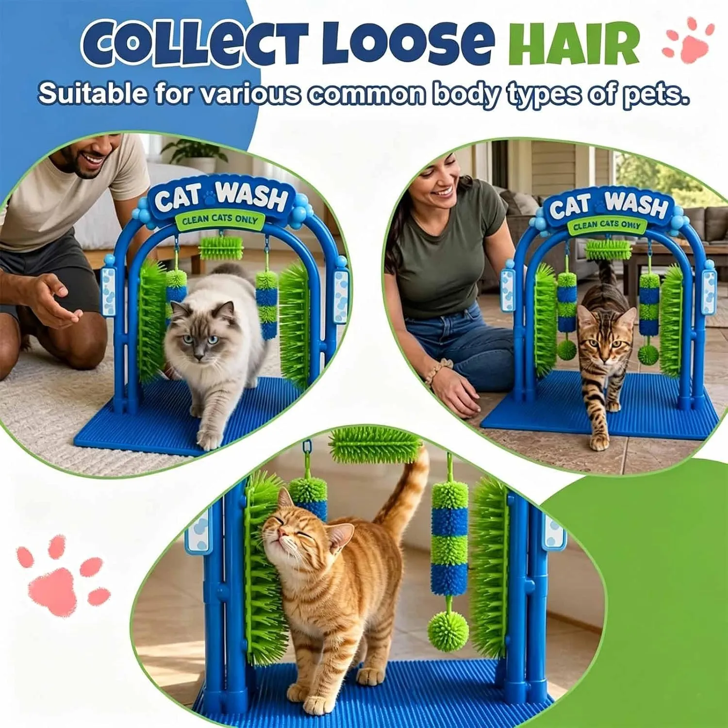 猫咪们走过多功能梳毛站
