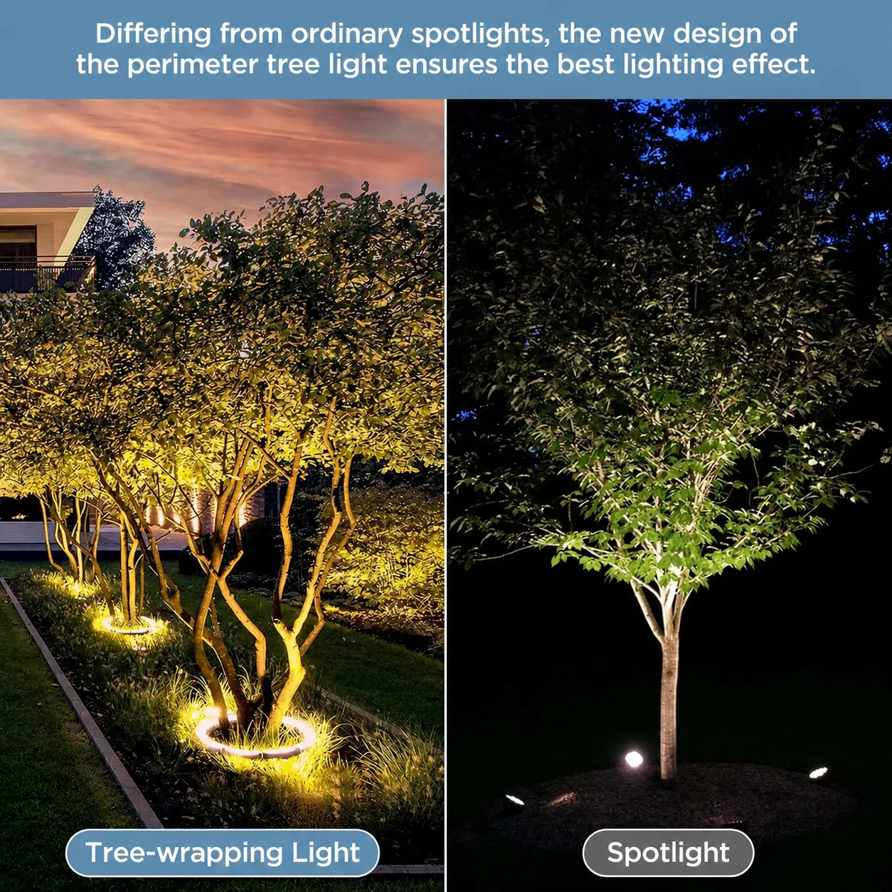 Tree ring lighting compared with scattered outdoor spotlights