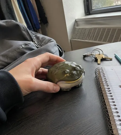 Green frog earbud case on a college dorm desk