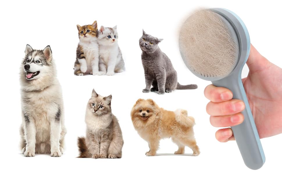 selfcleaning pet brush