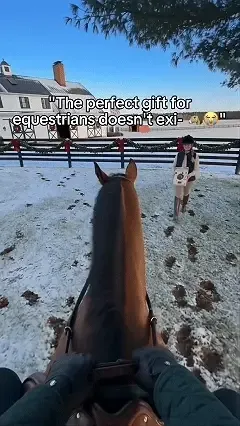Equestrian advent calendar with full-size horse gear surprises