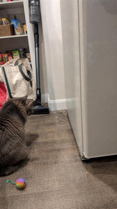Pet hair cleanup access behind a refrigerator