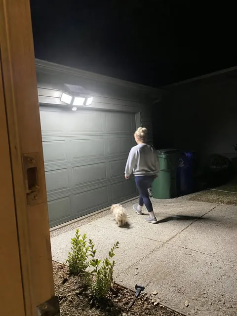 Driveway illuminated as a homeowner walks with a small dog