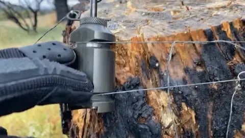 GIF