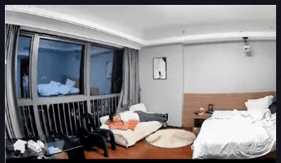 8.gif 8.gif