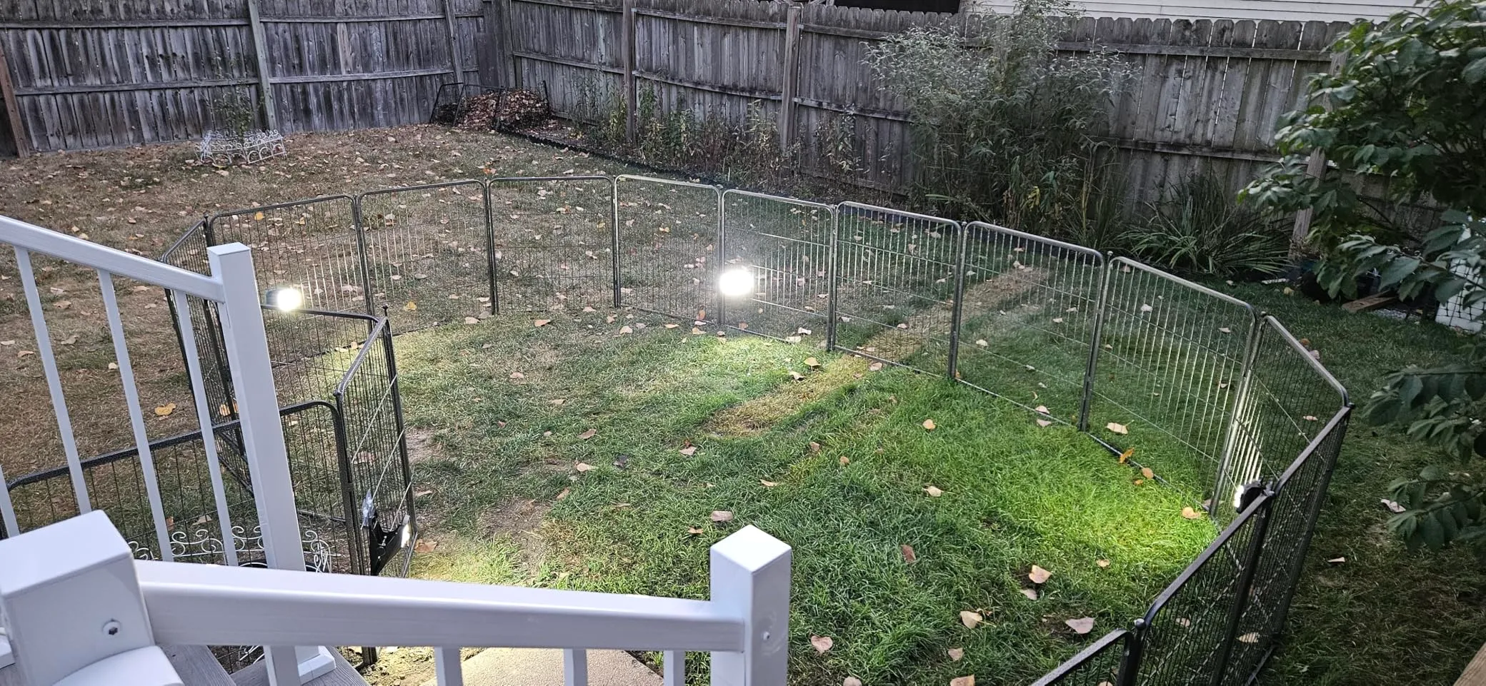 Works great, perfect lighting.