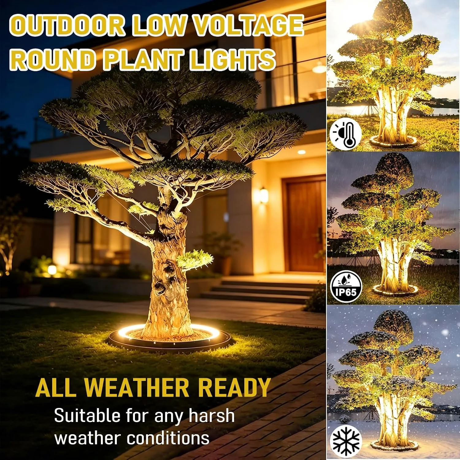 Outdoor tree lighting shown across changing weather and seasons