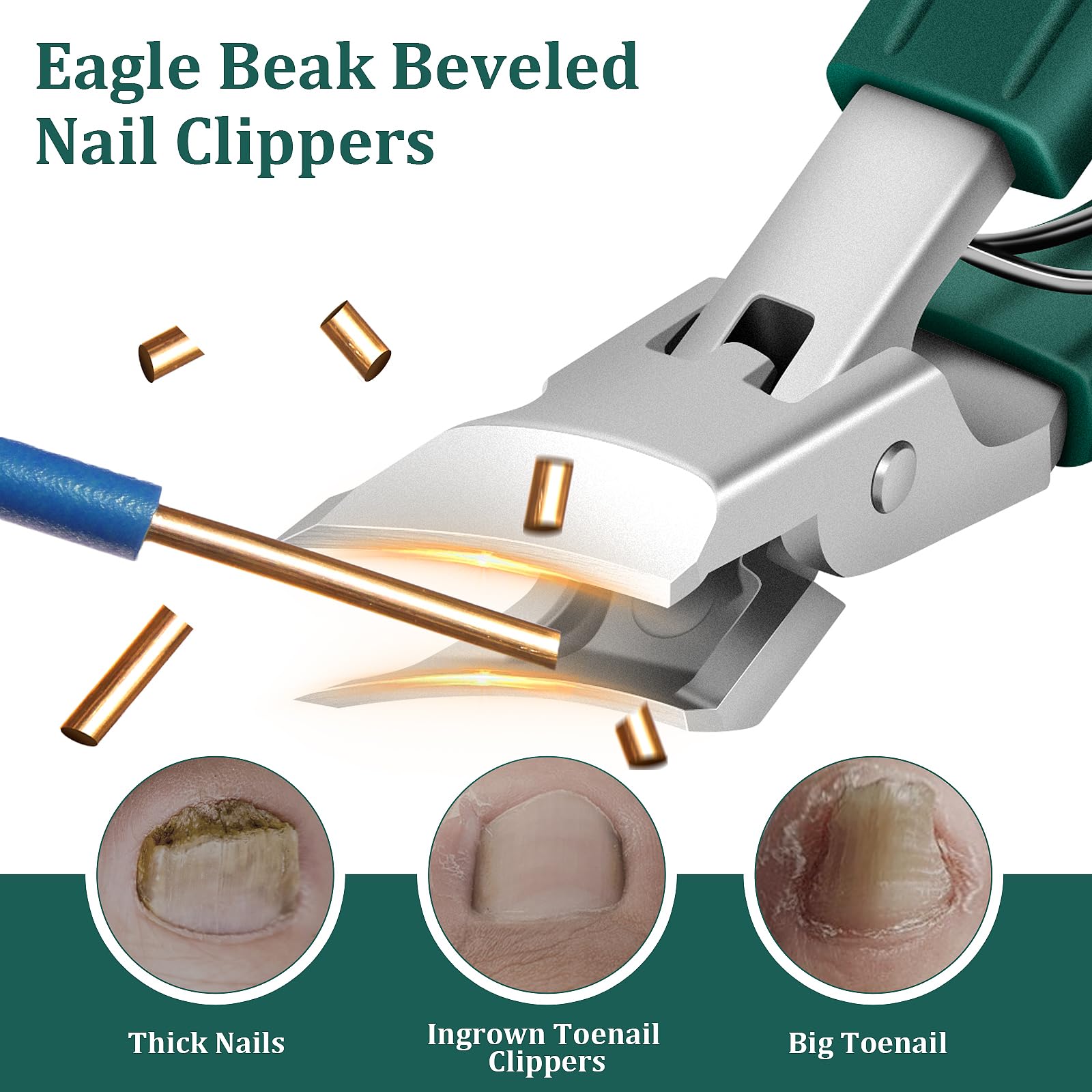 Eagle Beak Beveled Treatment