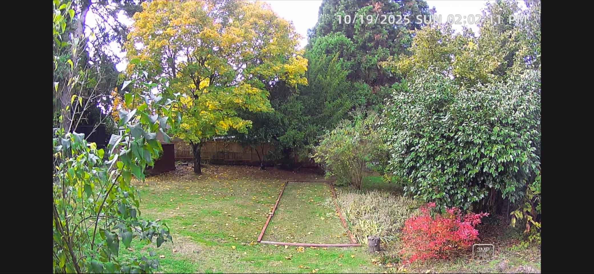 Easy to use, great night vision