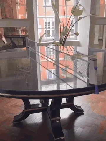 Retractable table tennis net setup demonstration