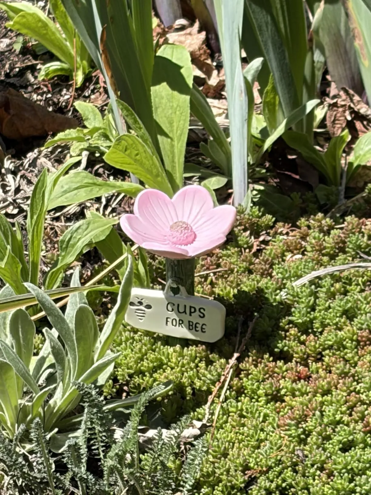 Helping the bees and very cute