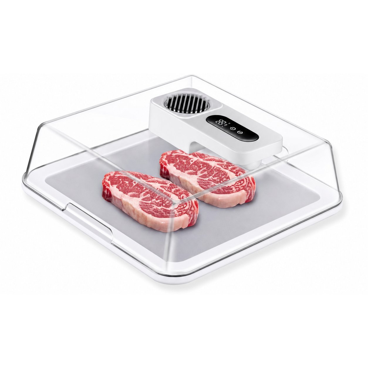 Large-capacity covered defrosting tray shown with its control module