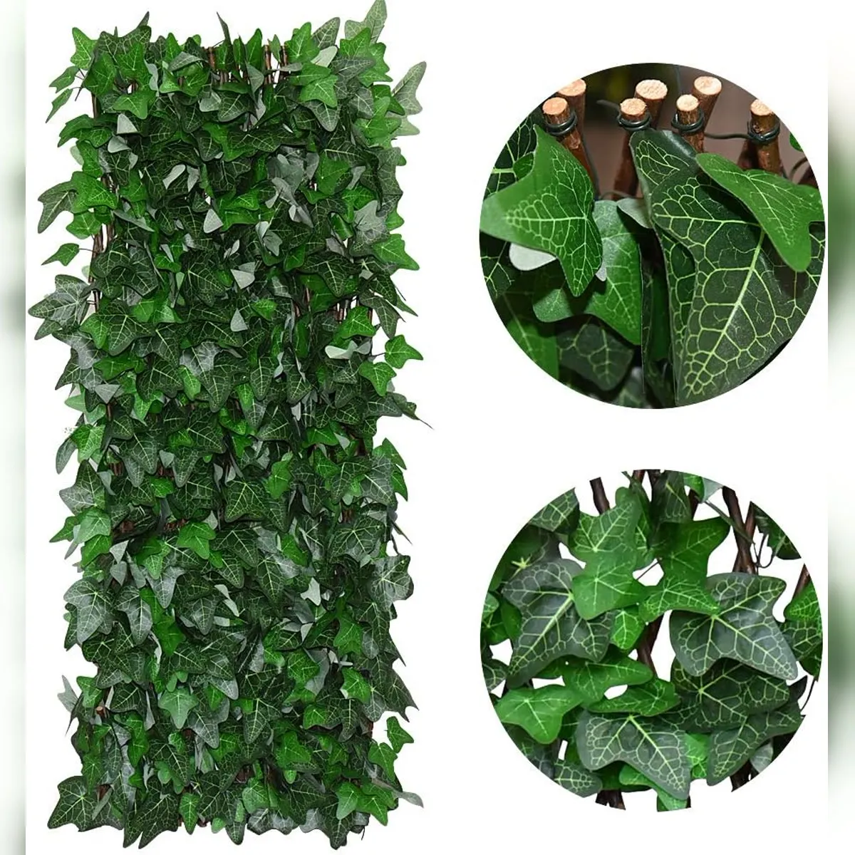 Close view of ivy leaves and brown expandable lattice