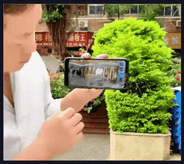 15.gif 15.gif