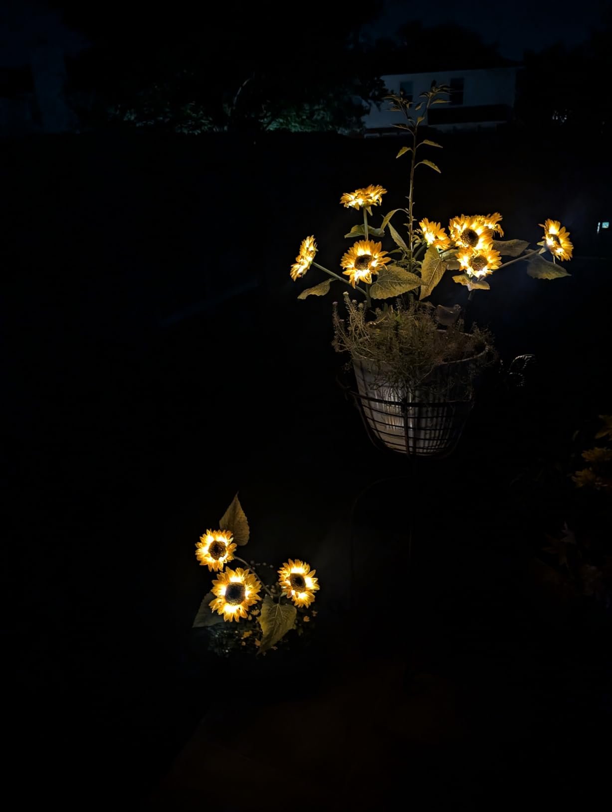 So fun! Glowing flowers🌻🌻🌻