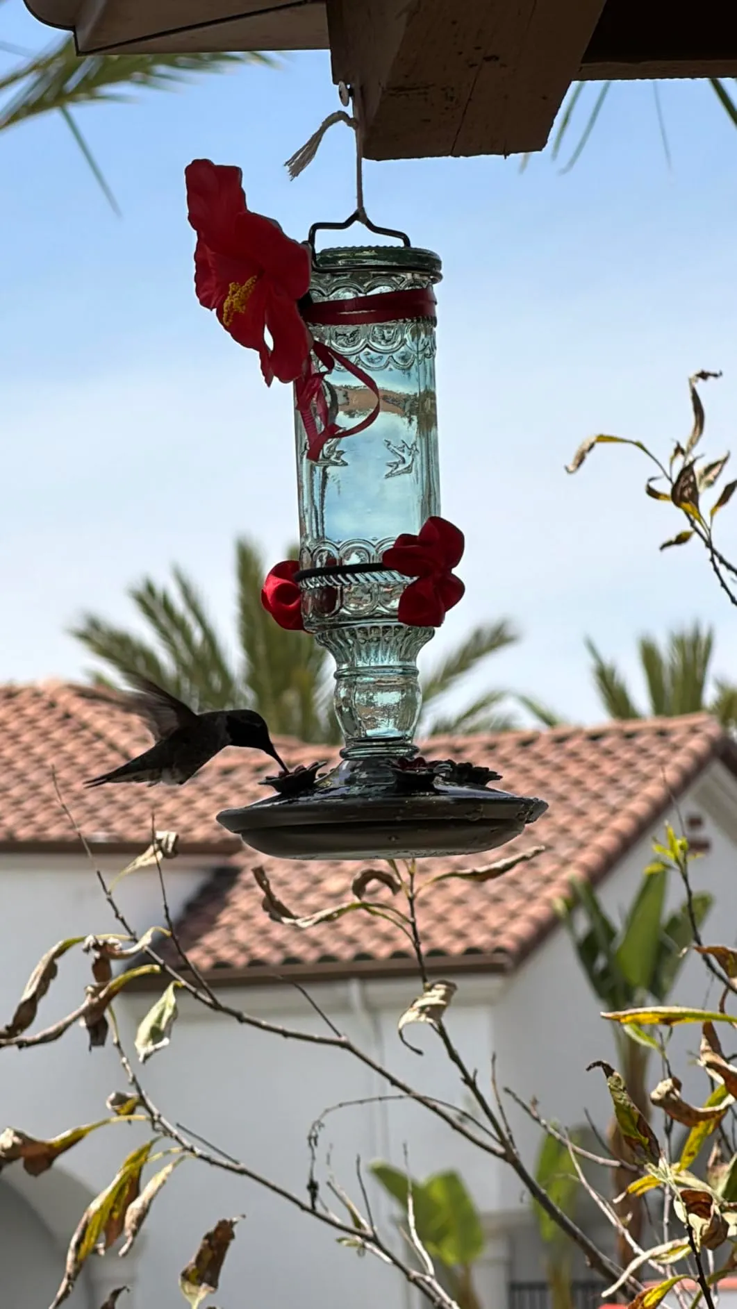 Nice Glass Bottle!