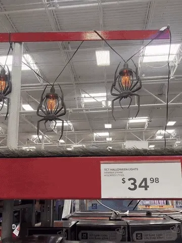 Spider and bat Halloween string lights glowing with a warm flame-like effect