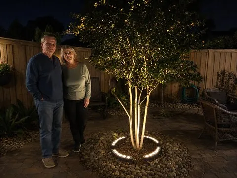 Warm tree-ring lighting in a fenced backyard at night