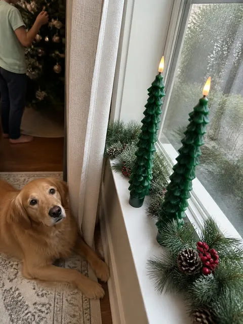 Customer-style photo of two tree candles by a family room window