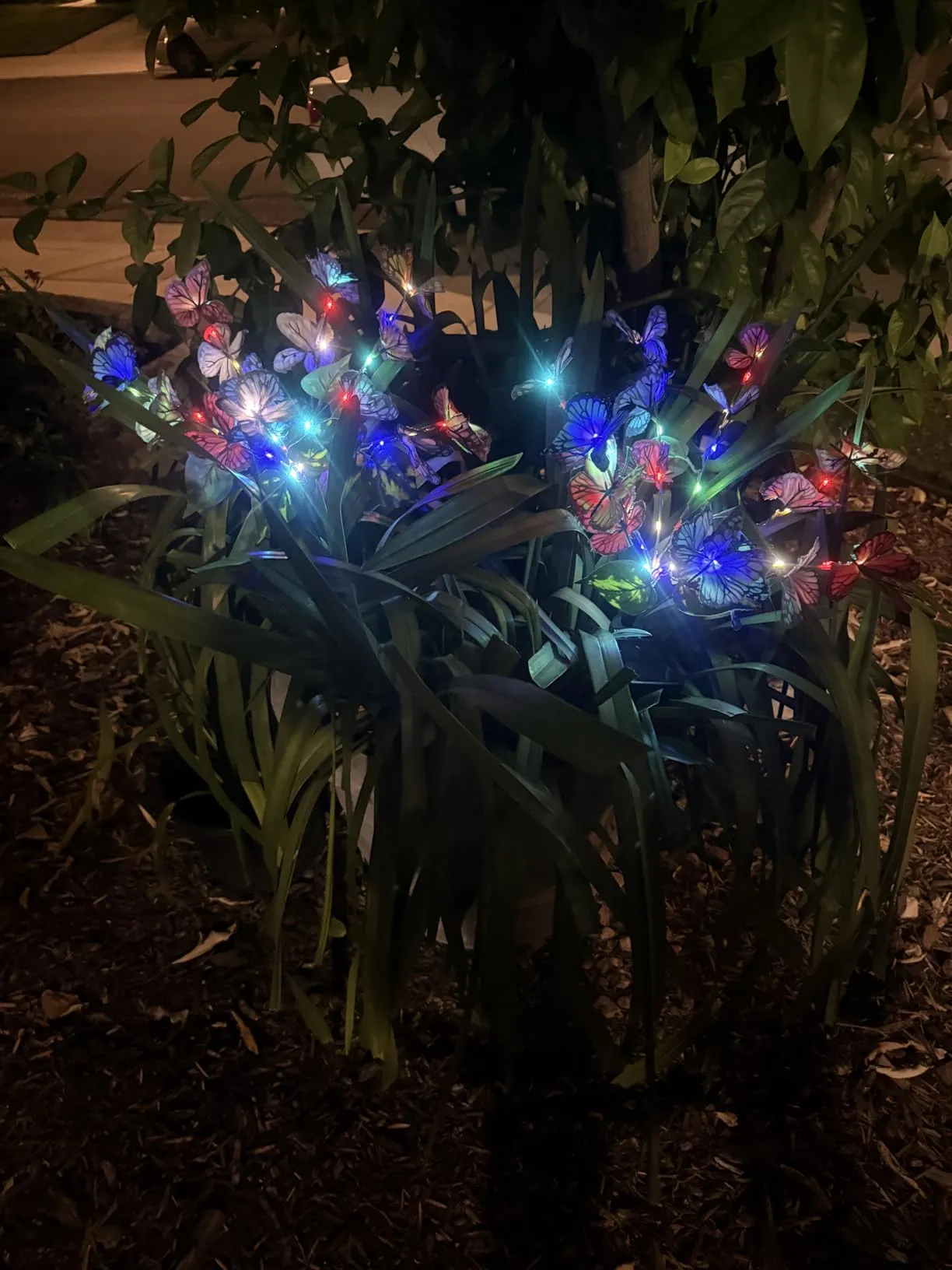 Solar power butterflies