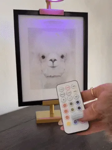 Lighted picture frame display stand demonstration