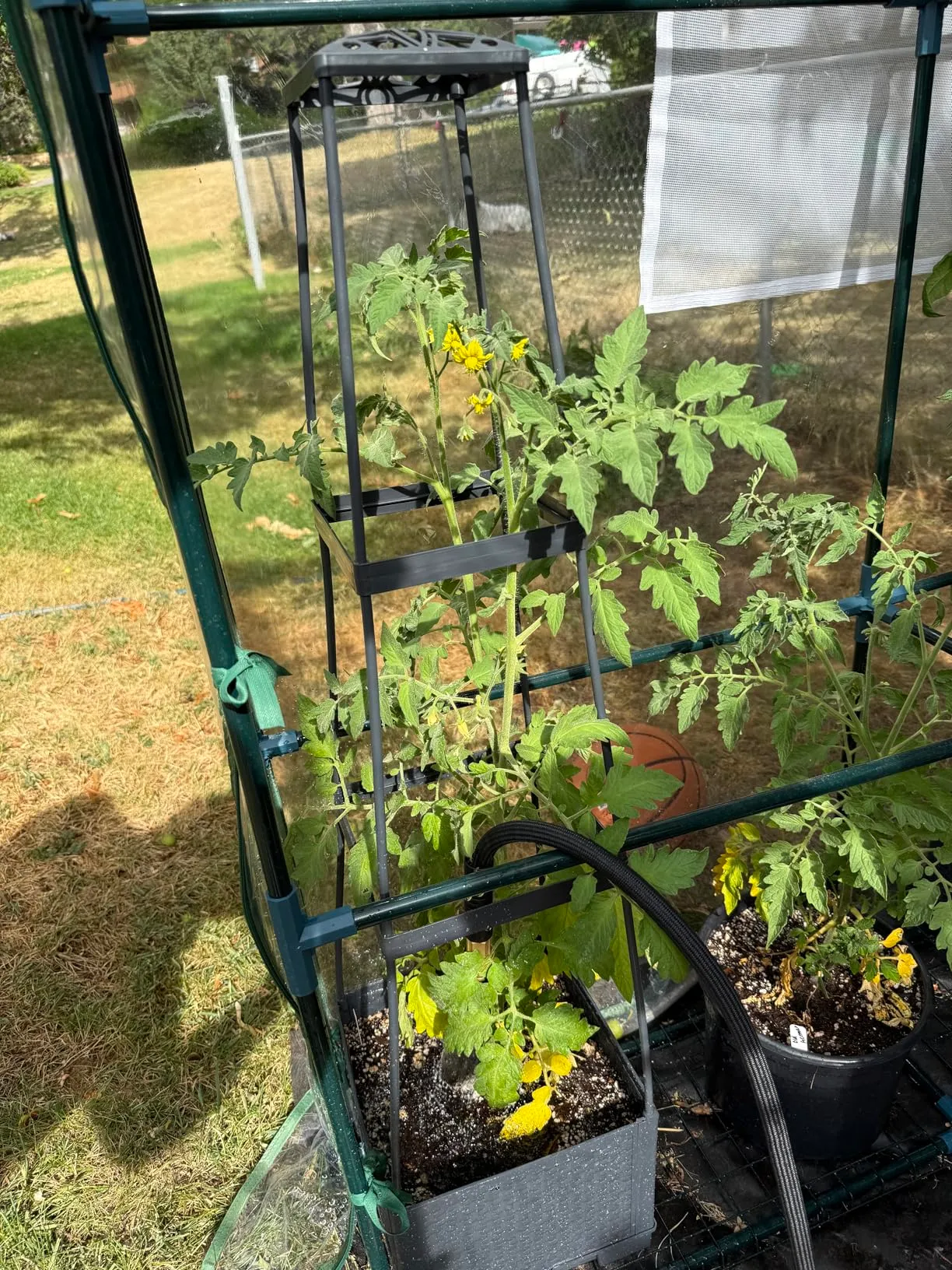Cool Tomato Planter Box!