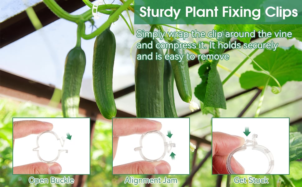 tomato clips tomato clips