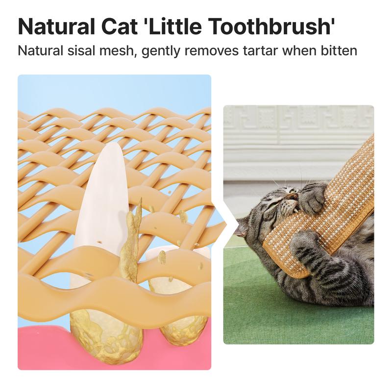 Sisal mesh cleans cat's teeth