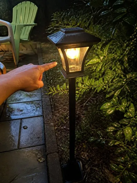 Warm solar lamp glow beside a damp patio border