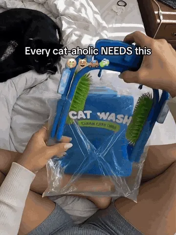 猫咪正在使用独立式美容站