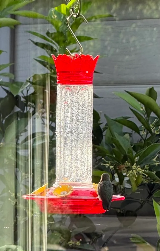 Good quality, easy to clean and hummers like these feeders