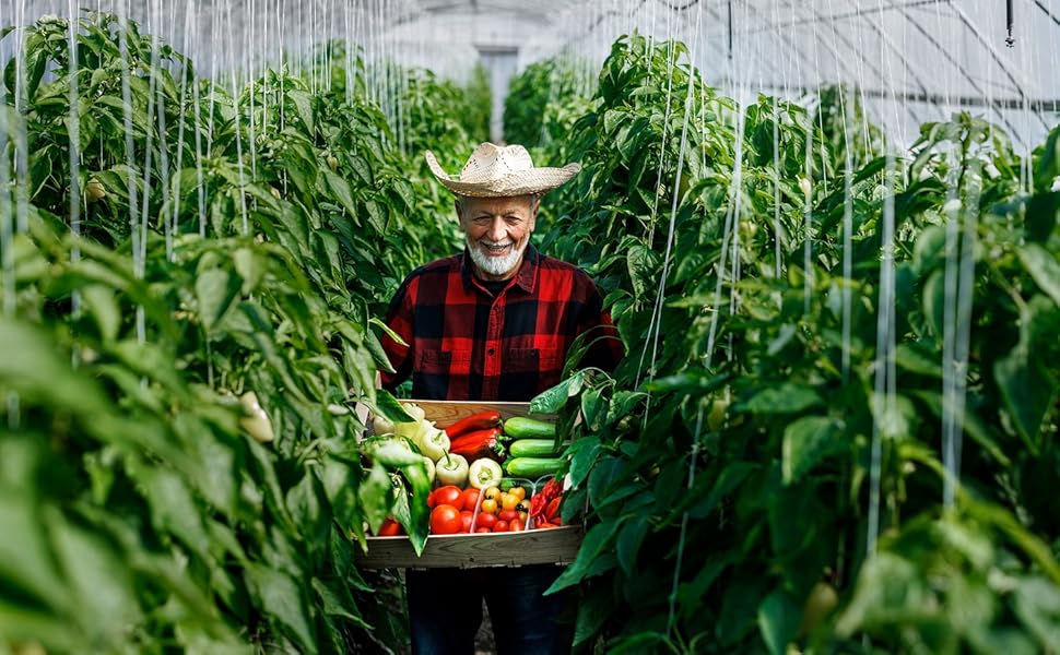 plant clips plant clips