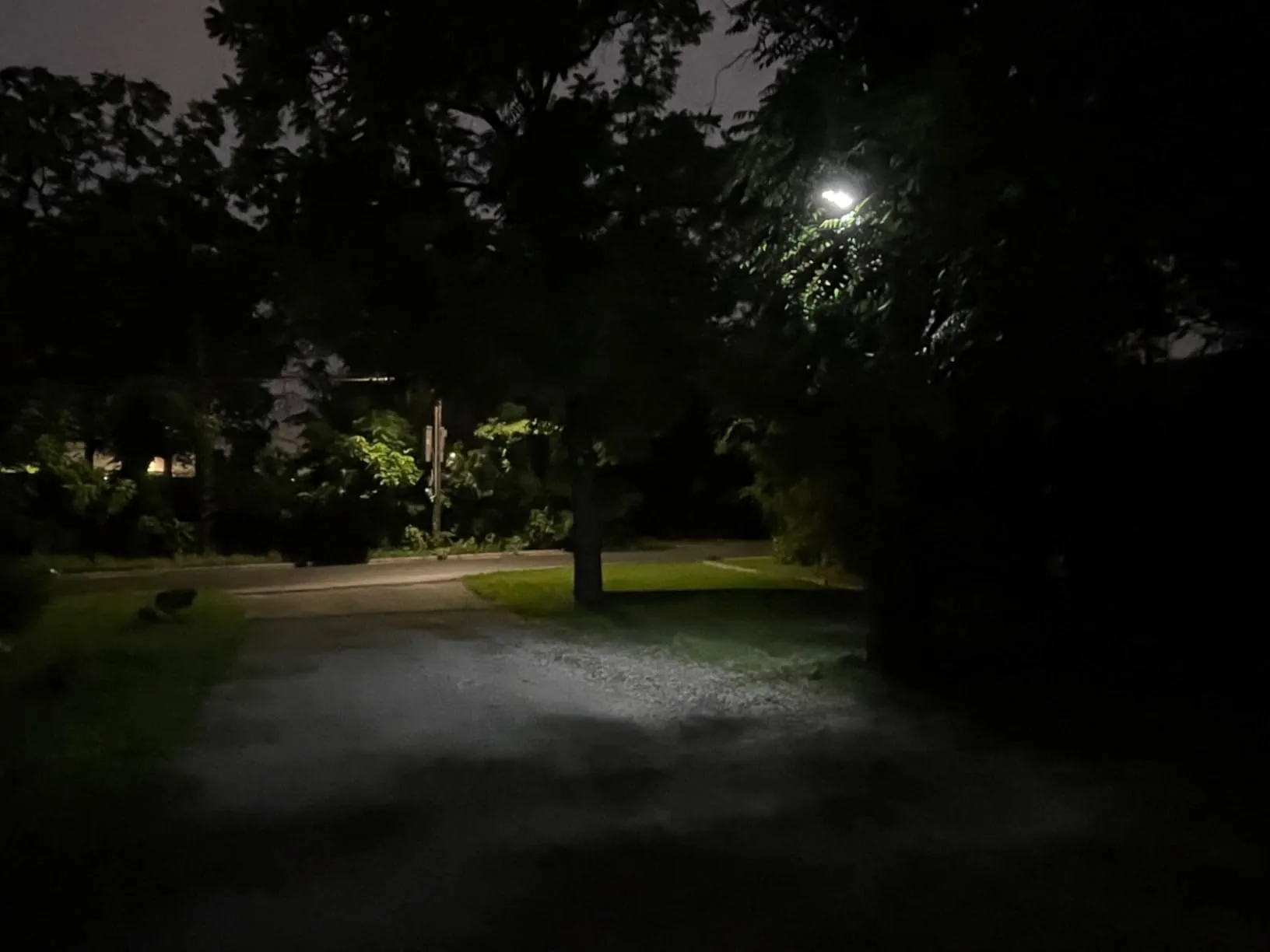 Motion Sensor Features Make this Light Perfect for Residential or Rural Areas
