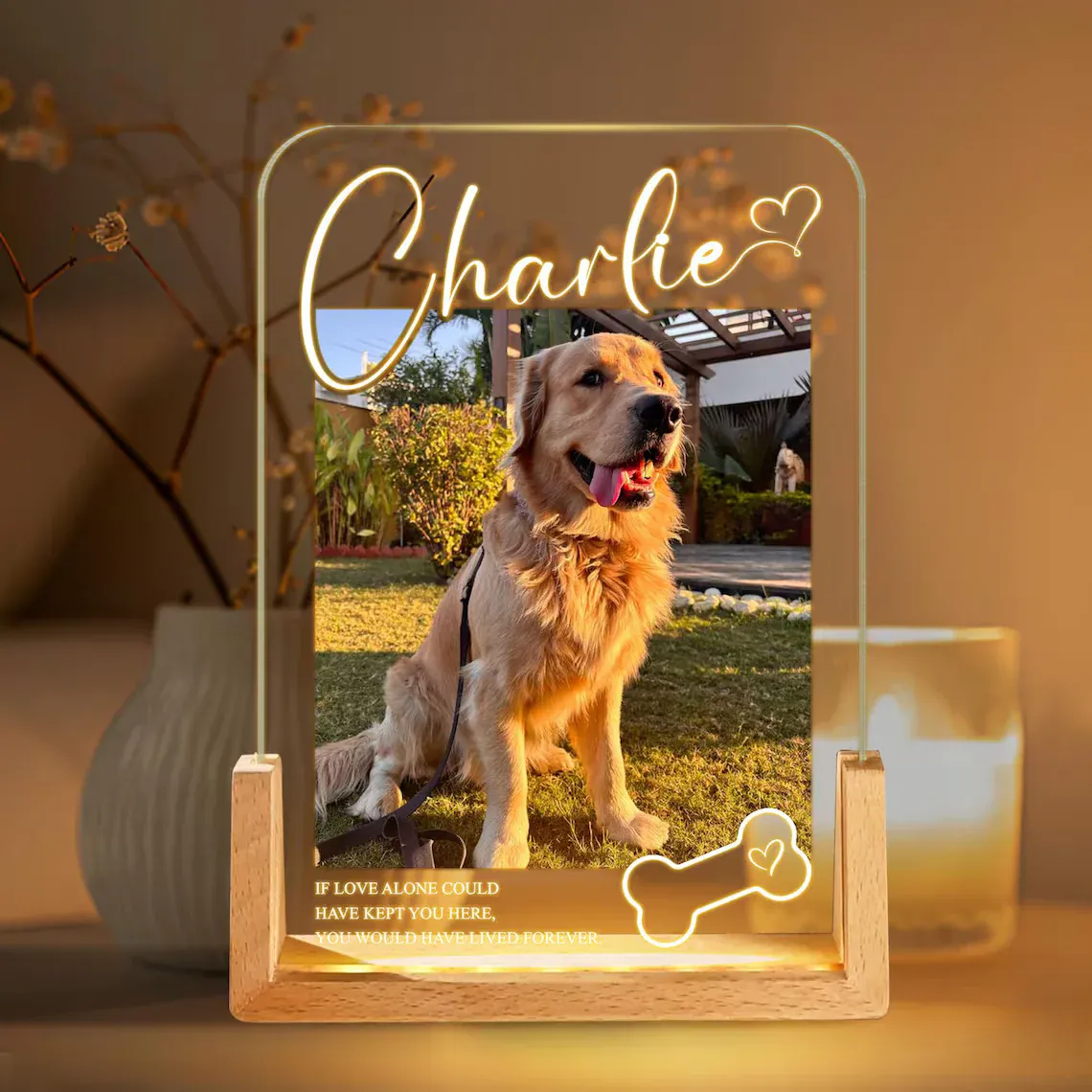 Personalized Pet Memorial LED Night Light – Custom Dog Lover Gift