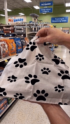 Scary hell hound monster dog muzzle costume video demonstration