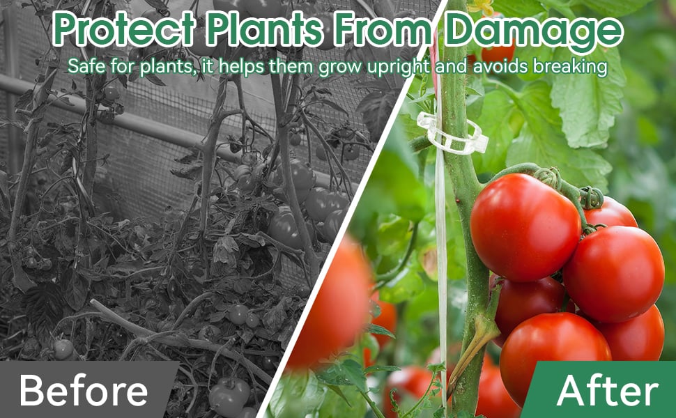 plant clips for climbing plants plant clips for climbing plants