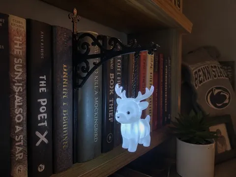 Stag light glowing from a bracket inserted between books on a teenager's bookshelf