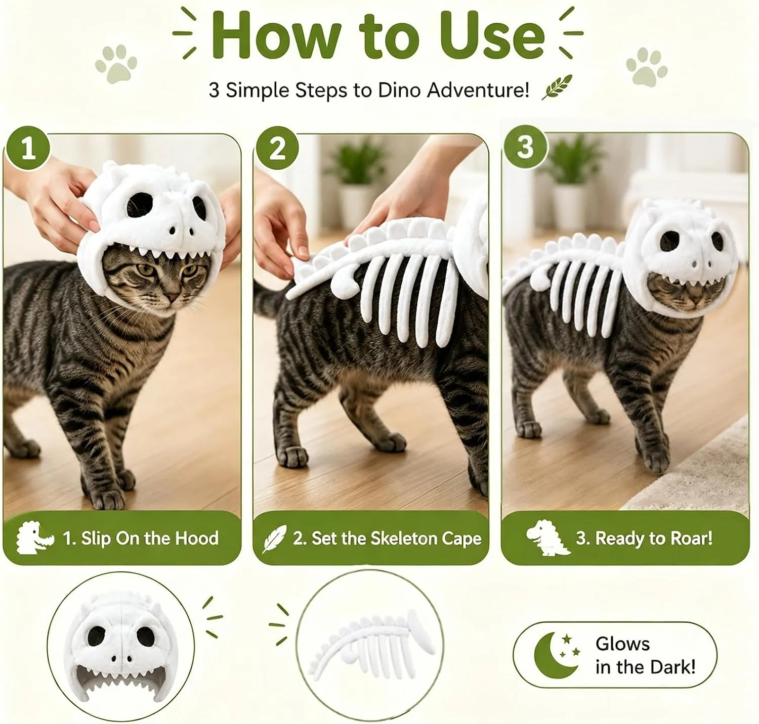 Three simple steps for putting the dinosaur skeleton costume on a cat