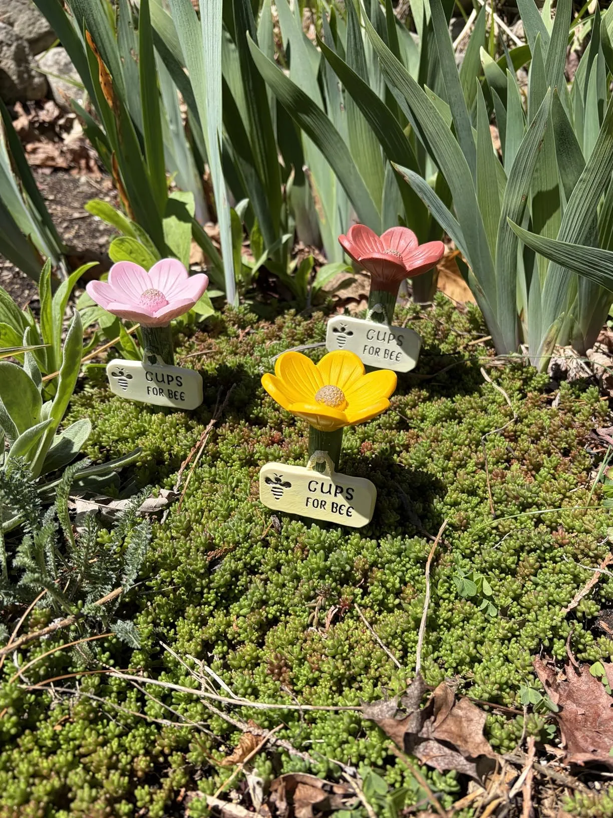 Helping the bees and very cute