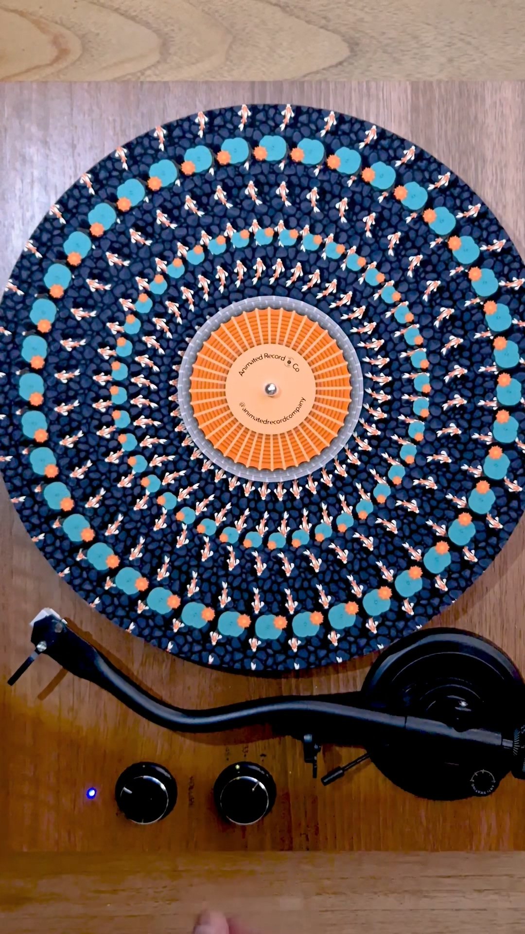 Animated Koi Pond Vinyl Record on Turntable