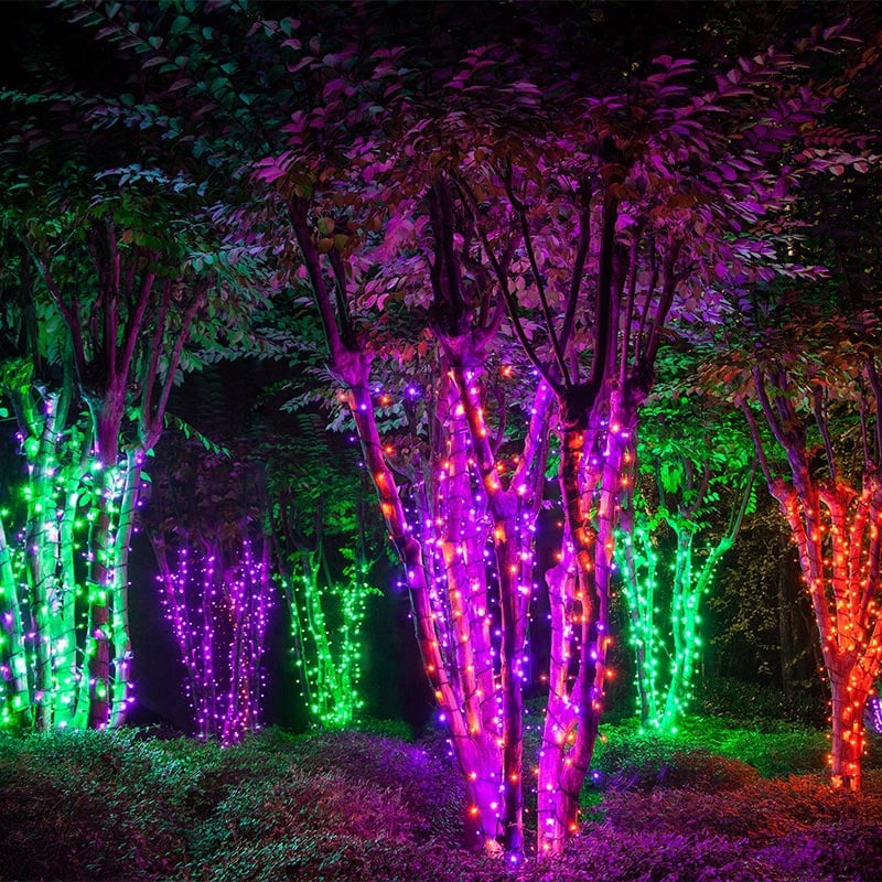 Trees