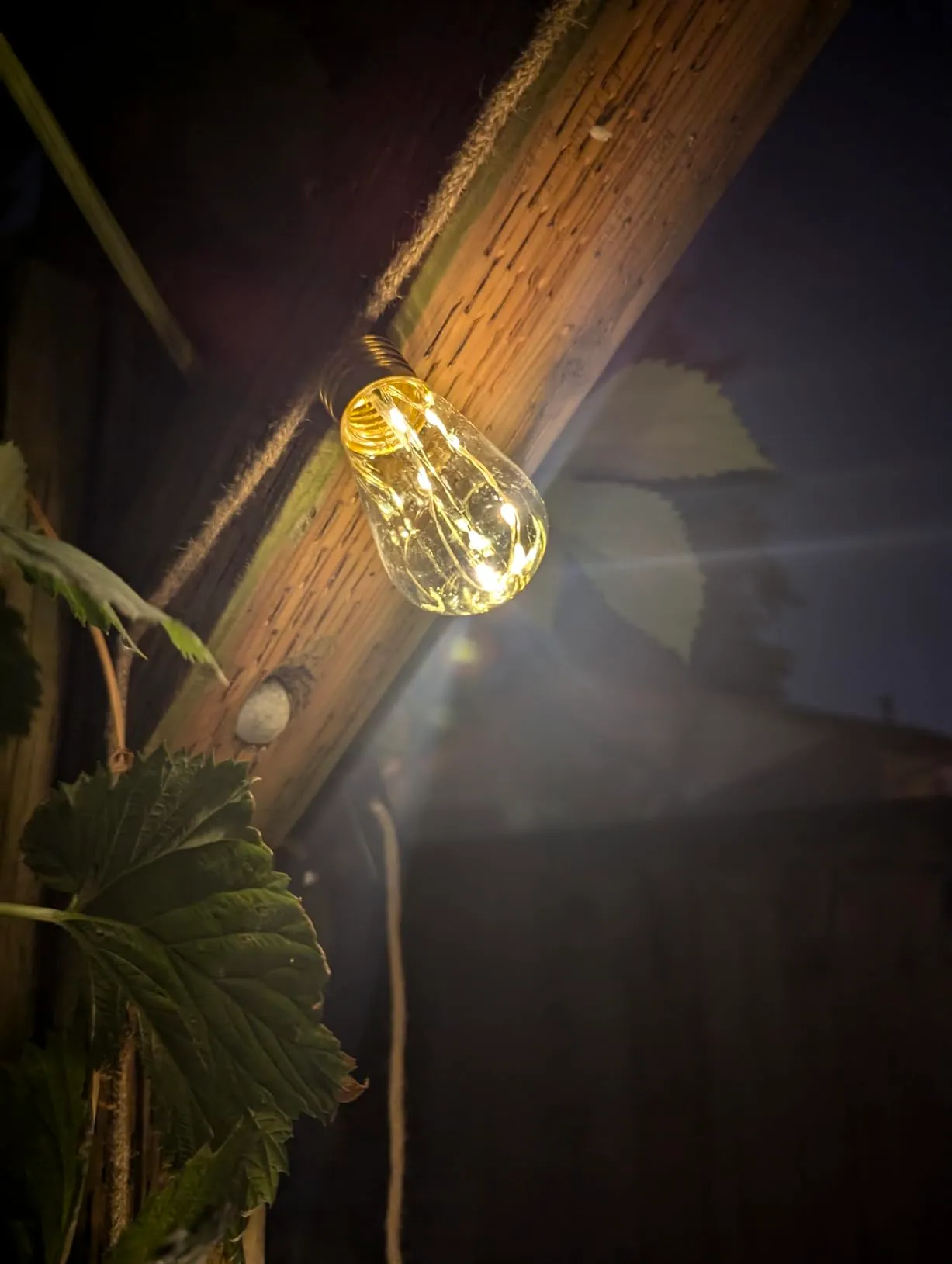 Fun solar lights for backyard charm