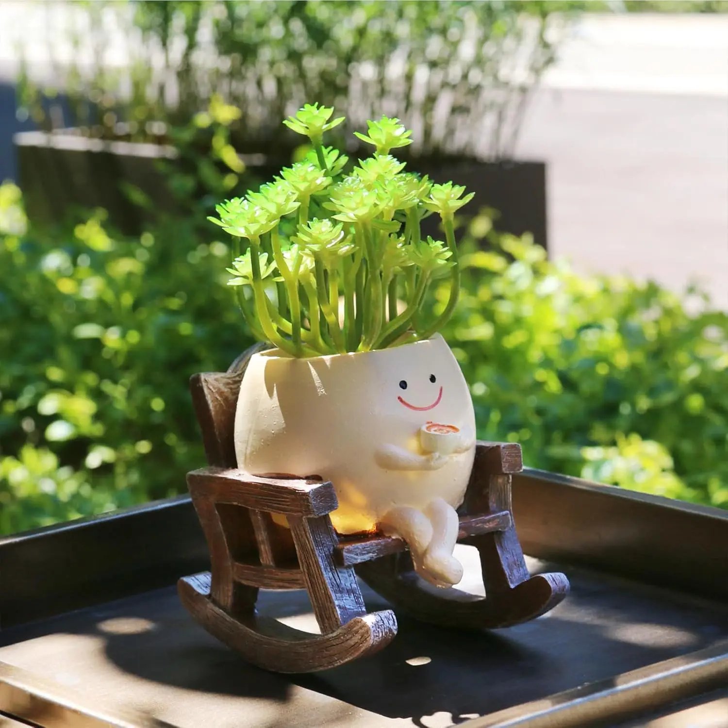 Planter basking in natural outdoor sunlight