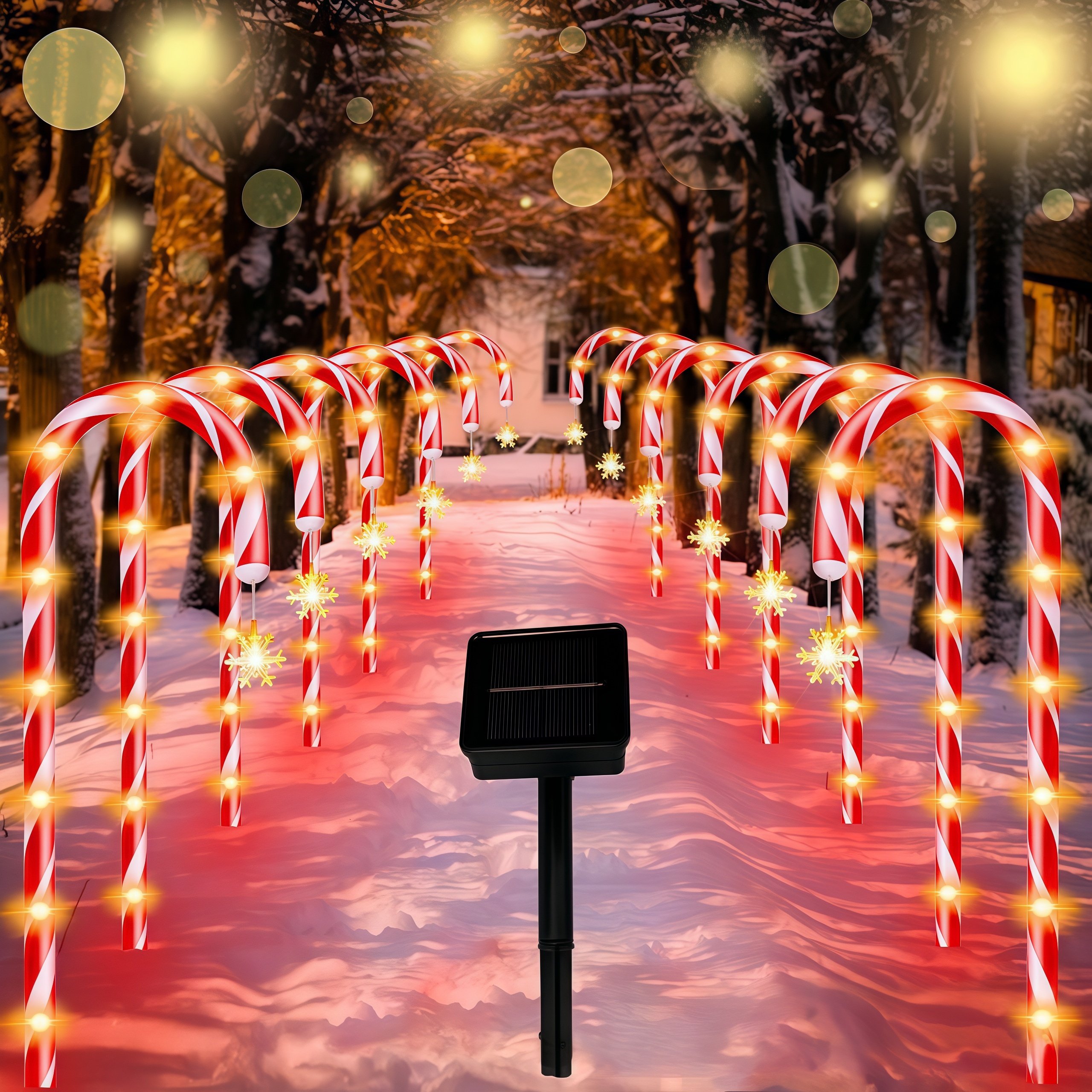 A long pathway lit by the red glow of candy cane lights in a snowy forest