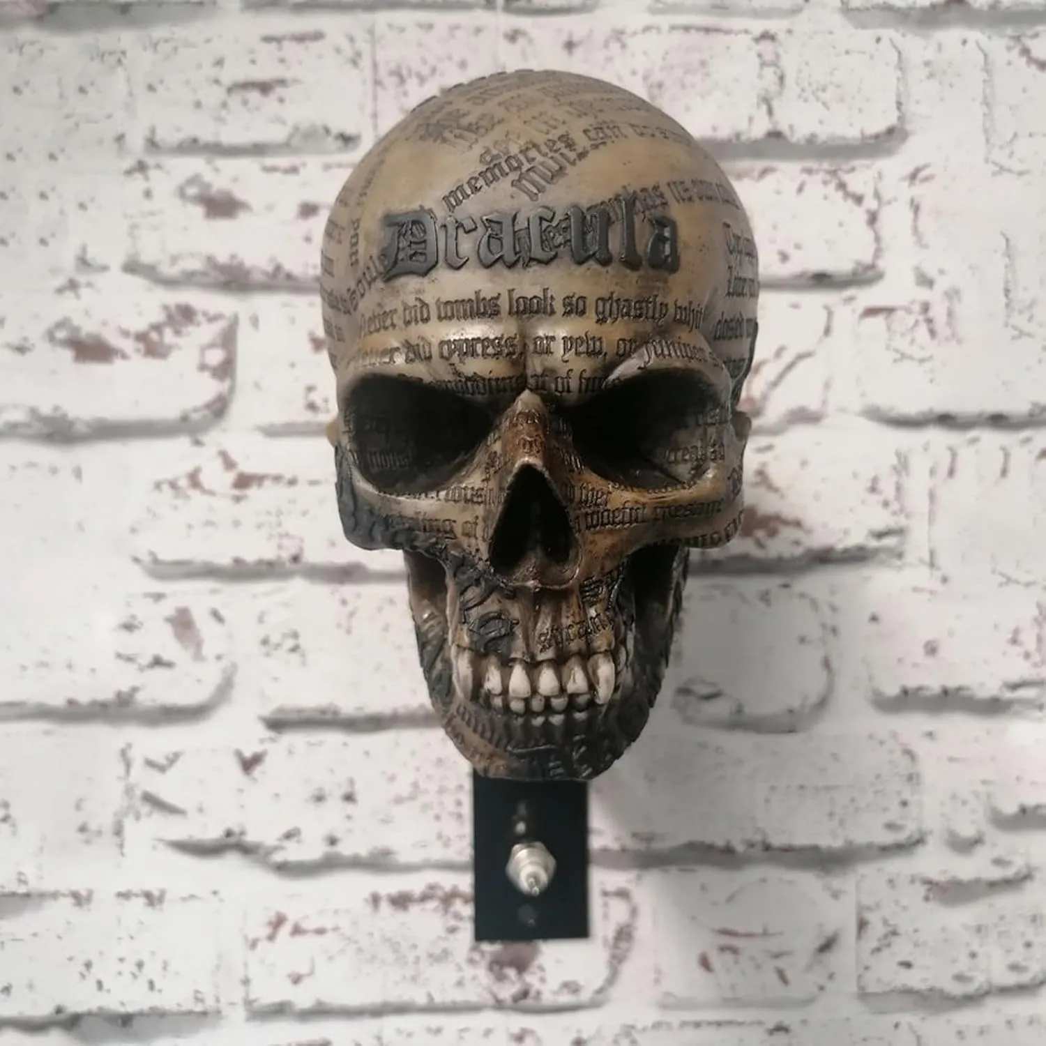 Antique skull helmet holder front view