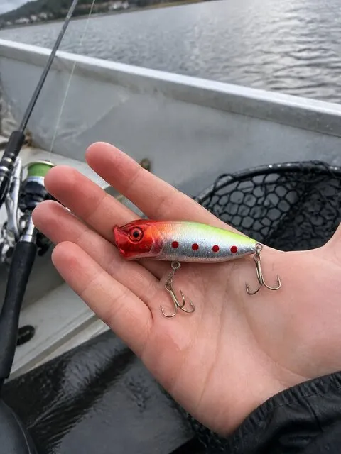 Angler holding the popper in a small fishing boat