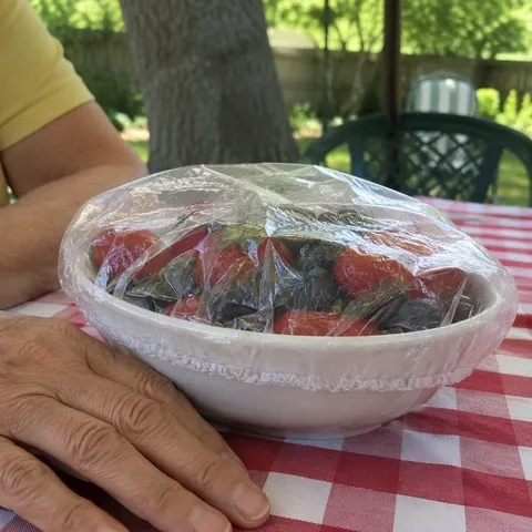 Covered fruit bowl on a picnic table