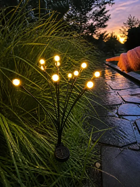 Solar garden light glowing beside a wet stone walkway